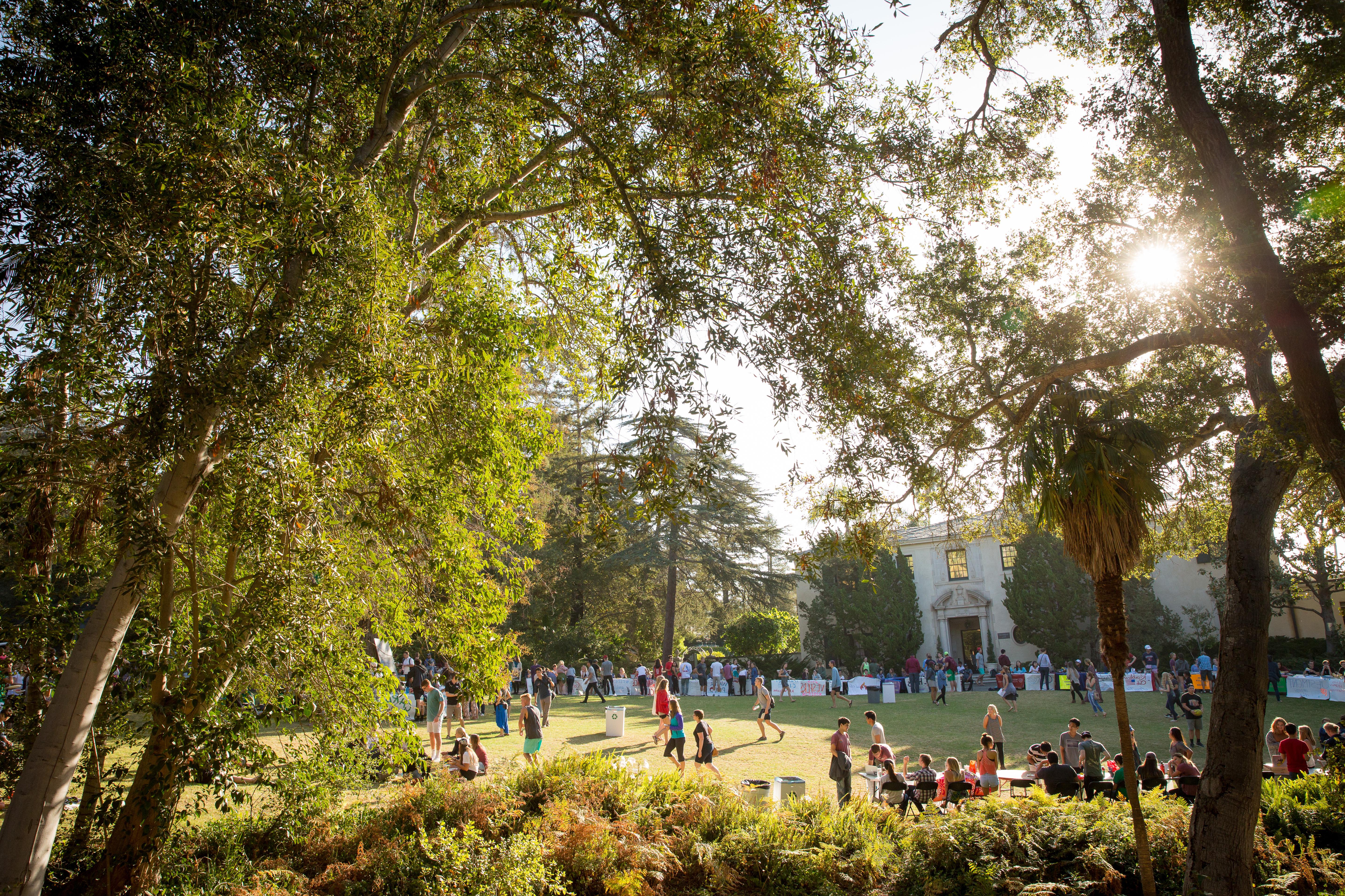 Community event student gathering on lawn outside Kerrwood Hall